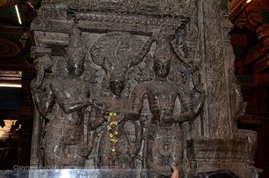 Meenakshi Temple, Madurai,_DSC_8102_H600